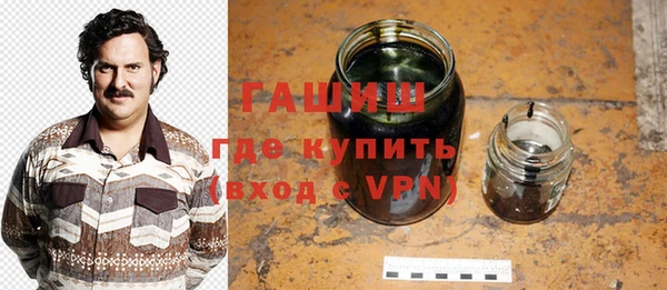шишки Белокуриха